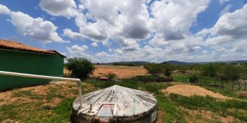 Famílias do Sertão cearense veem sonho de ter cisternas para água da chuva cada vez mais distante