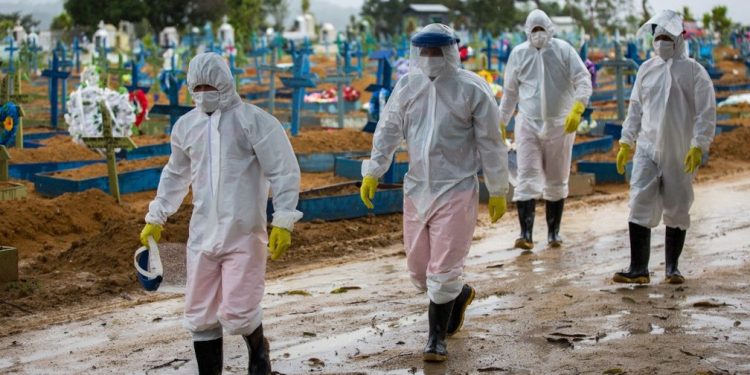 Infectados com variante brasileira têm até 10 vezes mais vírus no corpo, aponta Fiocruz