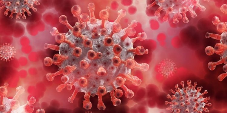 Brasileira descobre proteína chave para tratamento da Covid-19