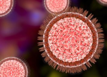 (Foto: Shutterstock)