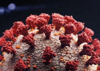 (Foto: Getty Images via BBC)