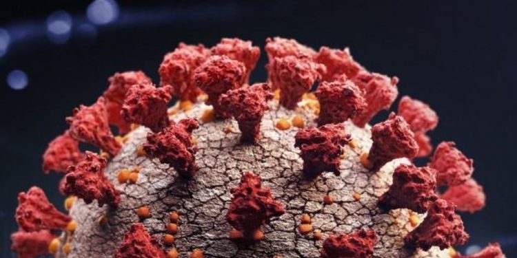 Três pacientes do Ceará são confirmados com nova cepa de coronavírus vinda de Manaus