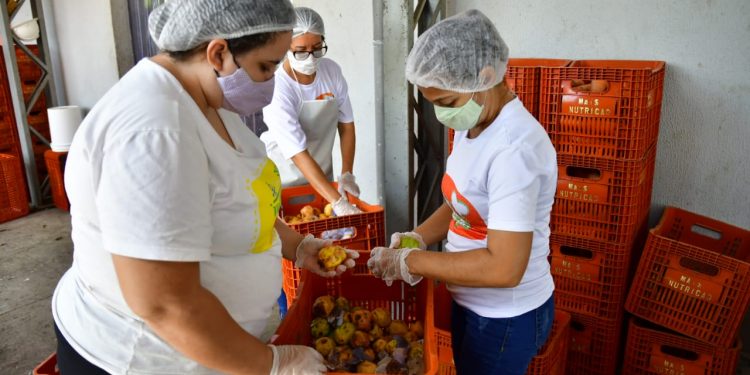 Mais Nutrição: Entidades cearenses já foram contempladas com mais de 700 toneladas de alimentos