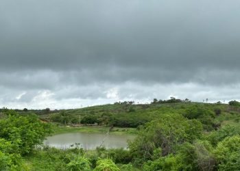 (Foto: Marciel Bezerra)