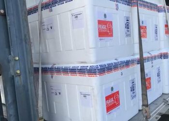 Novo lote com 115 mil doses será utilizado para imunizar profissionais da Saúde (Foto: Rperodução)