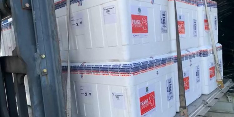 115 mil doses da CoronaVac chegam no Ceará; profissionais da saúde são prioridade de novo lote