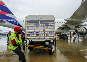 (Foto: Tatiana Fortes/Governo do Ceará)