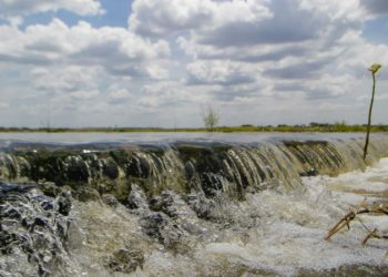 Passagem molhada na antiga Jaguaribara (Passagem do Pinguelo), onde passam as águas do rio Jaguaribe, por onde chegam as águas da transposição do rio São Francisco, nesta quarta-feira (10) (Foto: Aurelio Alves)
