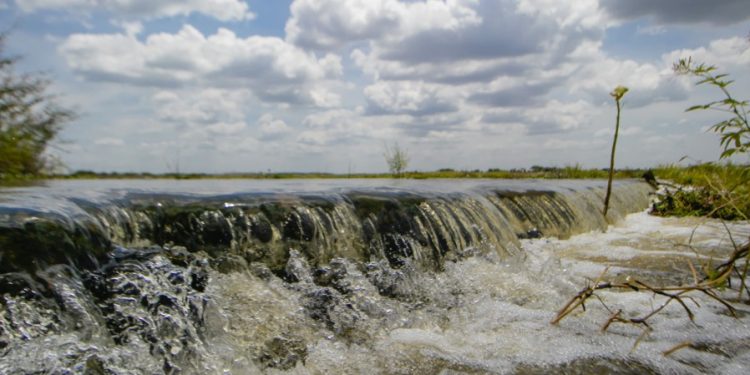 Águas da transposição do rio São Francisco chegam ao Castanhão; assista