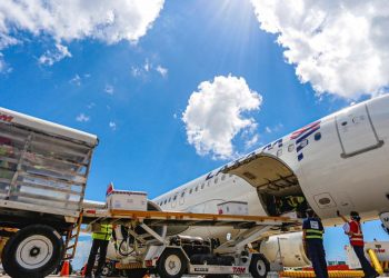Décimo lote de vacinas traz 182.850 doses ao Ceará (Foto: Tiago Stille/Governo do Ceará)