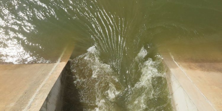 Águas do São Francisco mudam paisagem dos rios no Cariri