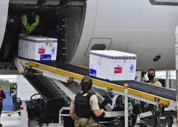 Ceará recebe sétimo lote de vacinas contra a Covid-19, com 115 mil unidades da CoronaVac (Foto: Divulgação/Governo do Estado)