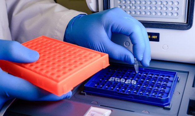 Ceará registra quase 450 mil casos de Covid-19 e 11.801 óbitos pela doença