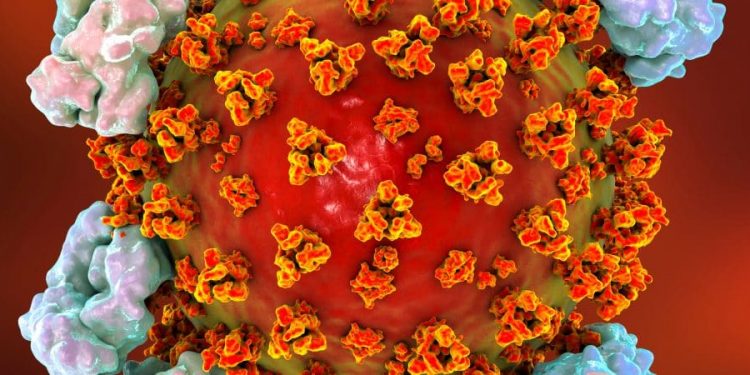 Estudo indica que anticorpos podem ser 6 vezes menos eficazes contra variante P.1
