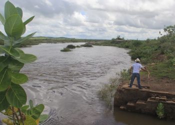 Em Icó, águas passam pelo Rio Salgado (Foto: Gustavo Veras)