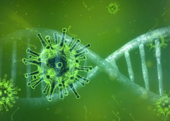 (Foto: Peter Linforth/Pixabay)