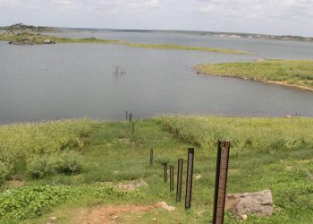 Desde o dia 1º deste mês, o Castanhão libera água para o sistema da Região Metropolitana de Fortaleza (RMF (Foto: Honório Barbosa)