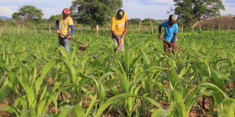 Ceará tem maior parte do território com chuvas abaixo da média no trimestre fevereiro a abril