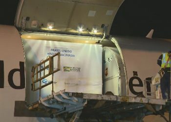 Operação de desembarque da carga com vacina da Pfizer em Viracopos (Foto: Vanderlei Duarte/EPTV)