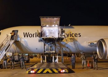 O primeiro lote de vacinas da Pfizer chegou ao país nesta quinta-feira (29) (Foto: Divulgação/Ministério da Saúde)