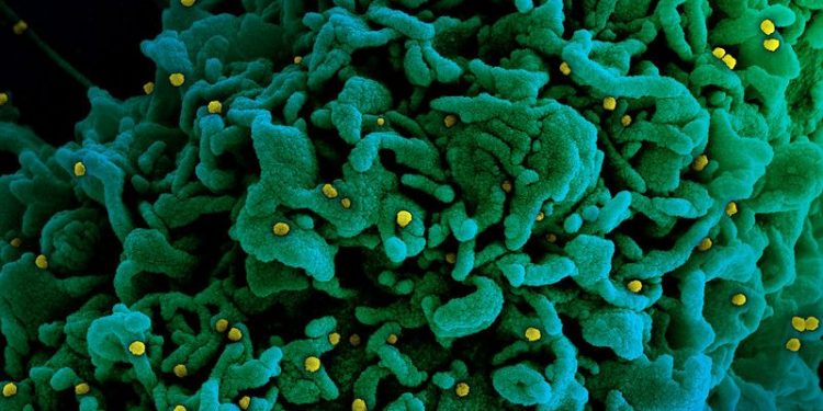 Variante britânica do coronavírus não causa Covid-19 mais grave, indicam pesquisas