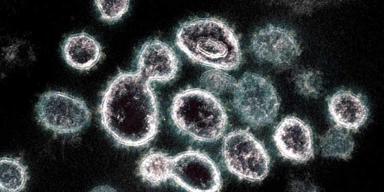 Butantan identifica variante sueca e mutação da cepa de Manaus do novo coronavírus