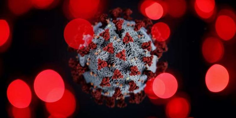 Cientistas encontram variante mais transmissível do coronavírus em Angola