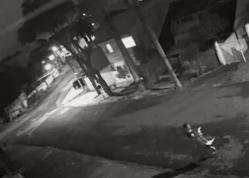 Homem mata, assa e come cachorro; imagens fortes