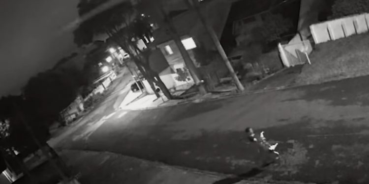 (Foto: Reprodução)