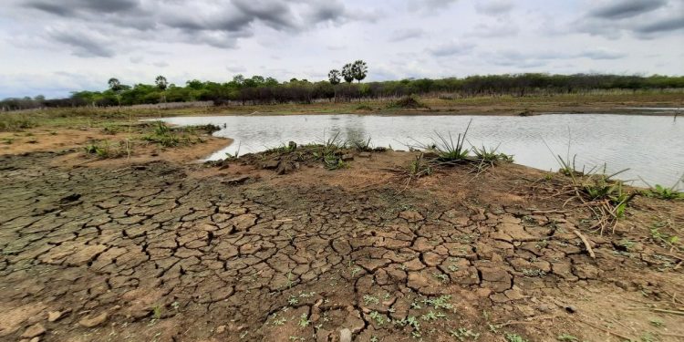 Ceará registra em março maior extensão de seca moderada desde 2020