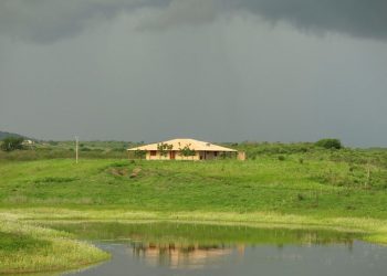 (Foto: Honório Barbosa)