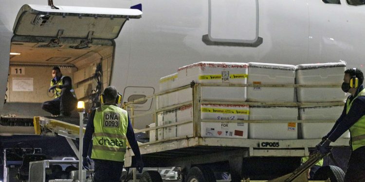 (Foto: Tiago Stille/Governo do Ceará)