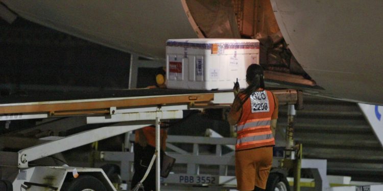 Novo lote de vacinas chega ao Ceará e municípios avançam para a quarta fase da vacinação contra Covid-19