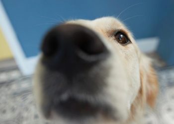 (Foto: Getty Images)