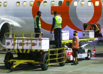 (Foto: Helene Santos/Governo do Ceará)