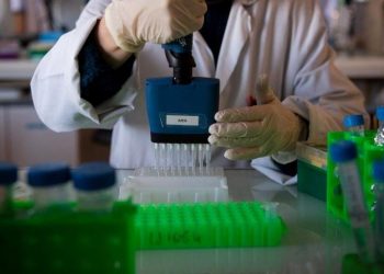 Dentre as variantes, a mais difundida na região é conhecida como variante britânica, encontrada em 34 países e territórios americanos (Foto: Loic Venance/AFP)