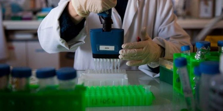 Variações mais preocupantes da Covid-19 são encontradas em 37 países ou territórios das Américas