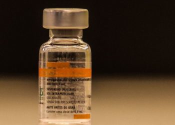 A CoronaVac é uma vacina contra a Covid-19 produzida pelo Instituto Butantan com a farmacêutica chinesa Sinovac (Foto: Rovena Rosa/Agência Brasil)