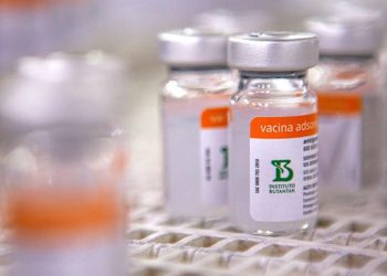 (Foto: Instituto Butantan/Divulgação)