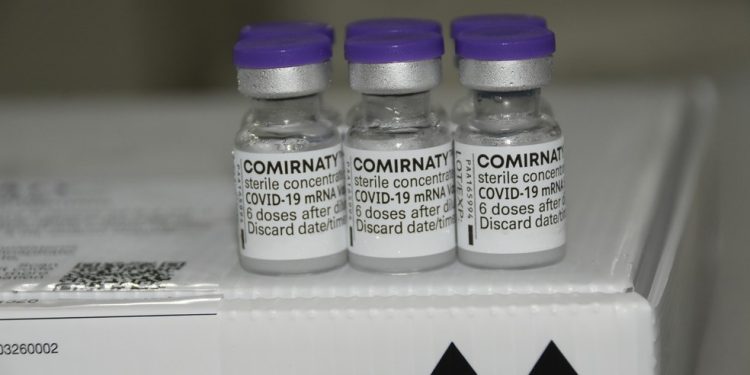 Crato, Juazeiro do Norte, Barbalha e mais 23 municípios estão aptos a receber doses da vacina Pfizer contra Covid-19