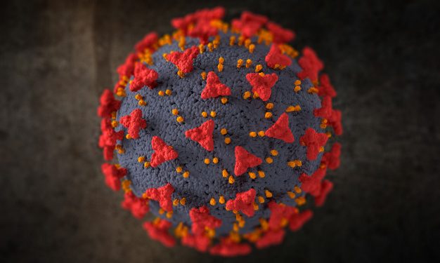 Covid-19: Ceará registra quase 6 mil casos em 24 horas