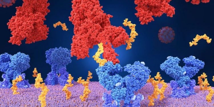 Governo do Ceará pede à Anac e Anvisa reforço nas medidas para barrar entrada de variante indiana no estado