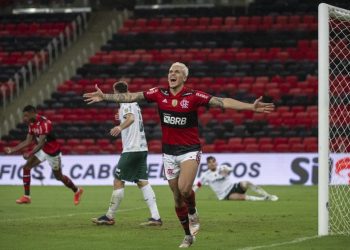 Flamengo vence o Palmeiras com gol de Pedro na estreia do Brasileirão