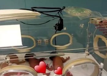 3 dos 9 irmãos que nasceram da mesma gravidez (Foto: Ministério da Saúde do Mali)