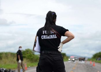 Concurso da Pefoce com salário de mais de R$ 10 mil tem edital publicado