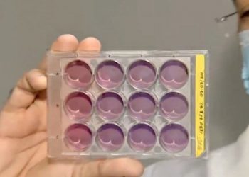 (Foto: Reprodução)