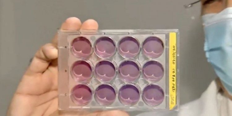 Uece e Fiocruz se reúnem para discutir sobre fabricação da vacina cearense contra Covid-19