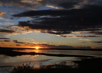 Nesta última década, apenas em três anos a quadra chuvosa teve pluviometria acima da média: 2020 (728.6 mm), 2019 (671.9 mm) e 2011 (652.5 mm) (Foto: Fabiane de Paula)