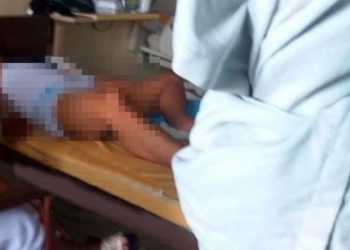 (Foto: Divulgação)