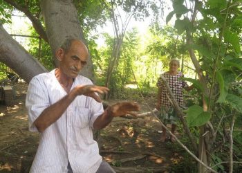 Zé Artur transformou uma área improdutiva em terra fértil. A transformação ganhou destaque e chamou a atenção de estudiosos e de outros agricultores (Foto: Antonio Rodrigues)